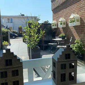  Apartment Shorestay Beachhouse